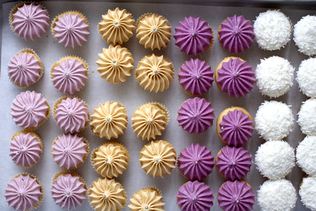 Cupcakes from the new Violet Bakery Cookbook (Photo: Kristin Perers via standard.co.uk)